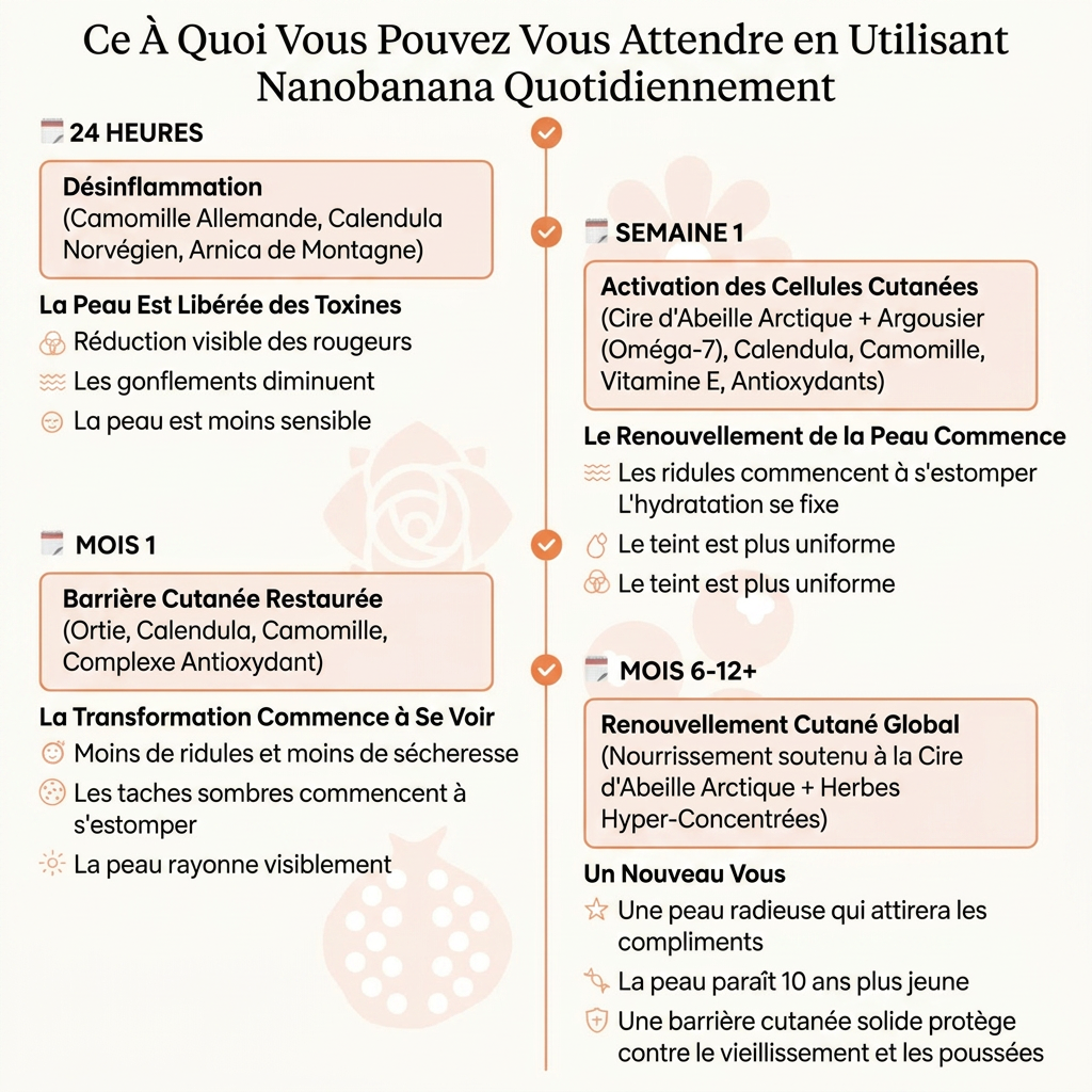 Baumes de Jour Anti-Âge & Éclat Intense