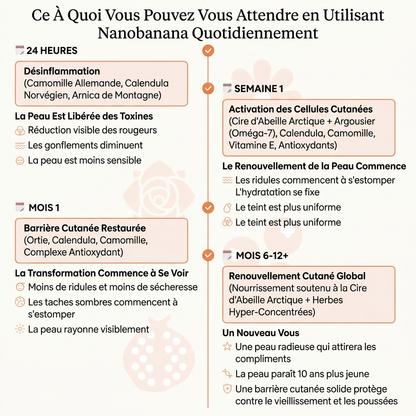Baumes de Jour Anti-Âge & Éclat Intense